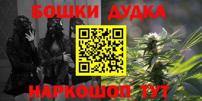 индика Усть-Илимск