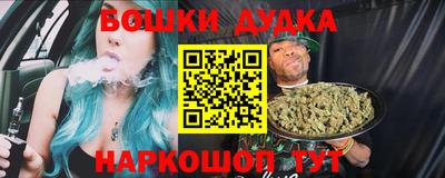 индика Усть-Илимск
