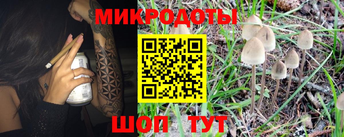 Галлюциногенные грибы Cubensis Астрахань